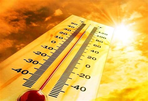 Heatwave Kills 90 People In Last 72 Hours In Bihar Yespunjab No1