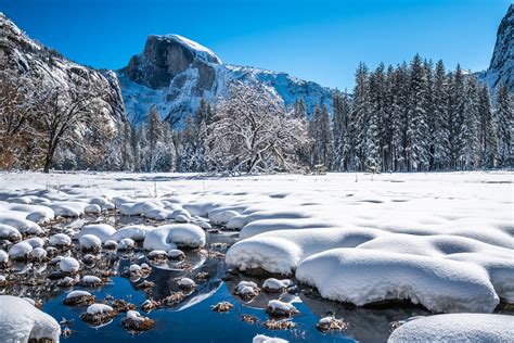 Yosemite Cooks Meadow Elm Tree Half Dome Fine Art Winter P Flickr