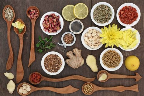 60 Jenis Tanaman Obat Keluarga Herbal Alami Toga Blog Mamikos