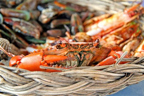 Gambar Hidangan Menghasilkan Makanan Laut Daging Masakan