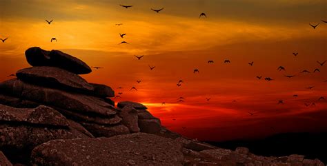 Flock Of Birds Flying Above The Mountain During Sunset · Free Stock Photo