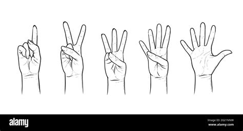 Gestures For Counting From One To Five Set Of Hand Gestures Showing