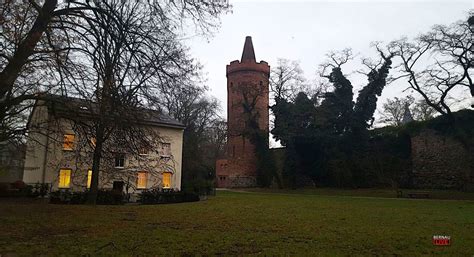 Veröffentlicht am februar 18, 2021 von. Guten Morgen aus Bernau an diesem grauen Dienstag