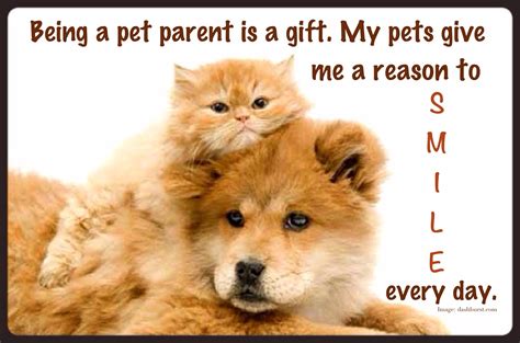 Let's go to meet your cat by the train brings back a lot of longing and warmth memories. I love my pets | Gift | Cats | Dogs | Animals | Cherished ...