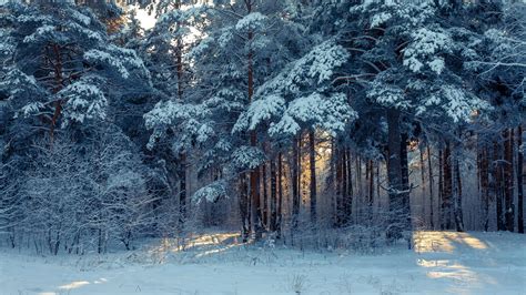 Winter Landscape Wallpaper 4k Surreal Winter Landscapes Hd Wallpapers