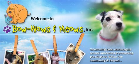 Bow Wows And Meows Pet Fair Angel City Pit Bulls Los Angeles Dog Rescue