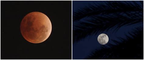 4 Fakta Bulan Purnama Worm Moon Fenomena Langit Hari Ini