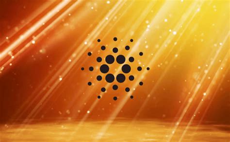 In a blockchain explorer, you can search for the transaction id (hash), which is an identifier for a particular transaction. Updates vom Cardano Camp: Wöchentlicher ...