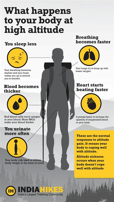 What Happens To Your Body At High Altitudes
