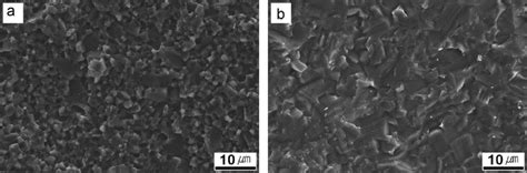 Typical fracture surfaces of the SiC ceramics with 2 vol ...
