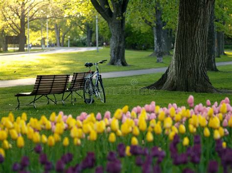 Beautiful Park In Spring Stock Photo Image Of Colorful 5728310