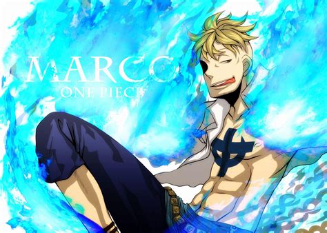 Marco One Piece Wallpapers Wallpaper Cave