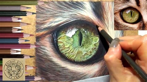 Realistic Colored Pencil Drawing Time Lapse Tristan Frasier
