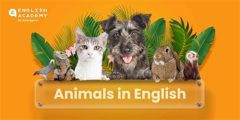 Nama Nama Hewan Dalam Bahasa Inggris Dan Artinya Belajar Bahasa
