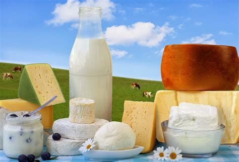 Icl To Acquire Dairy Proteins Company Prolactal