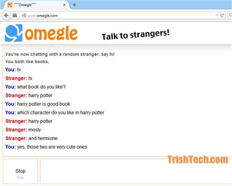 Omegle Talk Online With Total Strangers