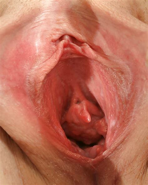 Human Vagina Diagram Erotic Photos Of Naked Girls Hot Sex Picture