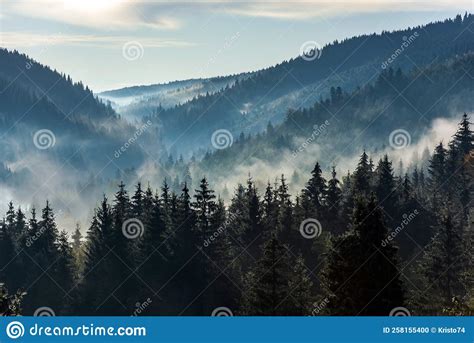 Deep Fog Above The Valley At Sunrise Stock Photo Image Of Background