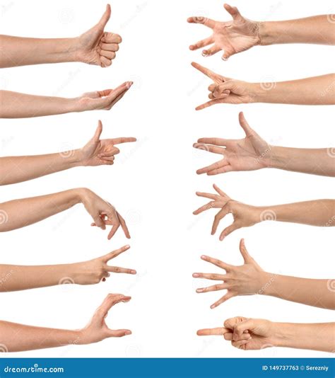 Gesturing Female Hands On White Background Stock Image Image Of