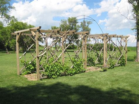 We did not find results for: Grape Arbor | 1000 - Modern Design in 2020 | Grape arbor ...