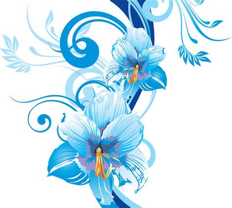 Frames And Png Flower Vectors Various 16
