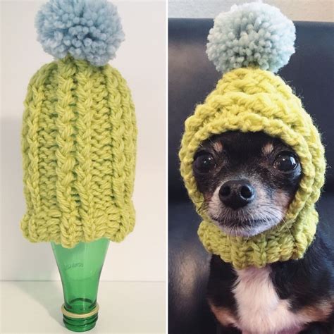 Chartreuse Knit Wool Hat For Small Dog Puppy Hood Etsy Dog Beanie