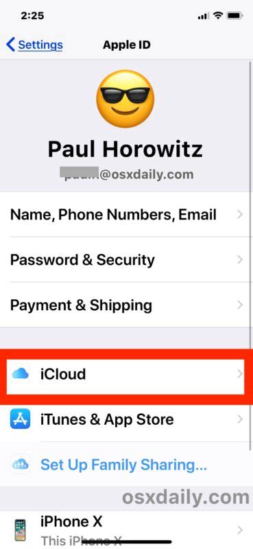 This article will provide you some guides to delete apps from icloud including purchased apps. Delete iCloud Backups on iOS 13 and iOS 12 - Tips Bollyinside