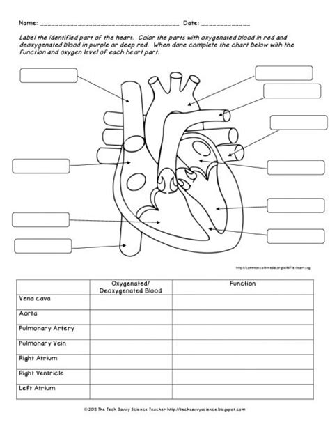 4th Grade Science Worksheet Heart