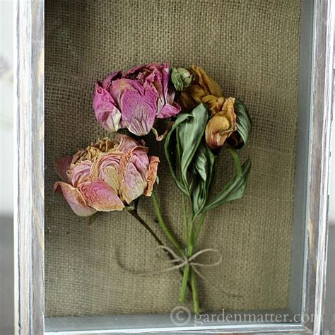 Think about the backyard, garden, whimsical, boho, and modern. Shadow Box Peonies - A Great Way to Preserve Your Garden ...
