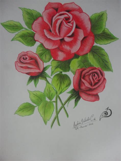 Dibujos de rostros rostros para dibujar y colorear. Rosas por EXAY | Dibujando