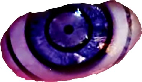 Naruto Rinnengan Sharingan Eye Madara Macro Photography Clipart