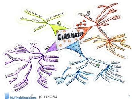Cirrhosis Cirrhosis Concept Map Nursing School Survival