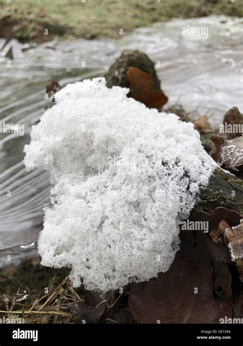 White Foam Dissolved Organic Matter From Frozen Receding Flooded