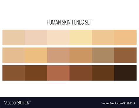 Creative Human Skin Tone Royalty Free Vector Image