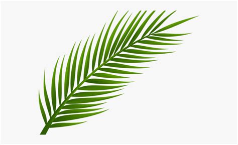 There are 8631 palm leaf printable for sale on etsy, and they cost 10,25 $ on average. Palm clipart palm leaf, Palm palm leaf Transparent FREE for download on WebStockReview 2021