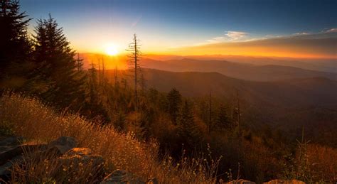 Parc National Des Great Smoky Mountains Découvrez Les États Unis