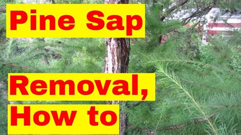 Pine Sap Removal How To Youtube