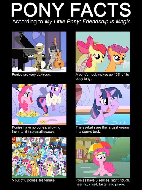 Image 403867 My Little Pony Friendship Is Magic Know Your Meme