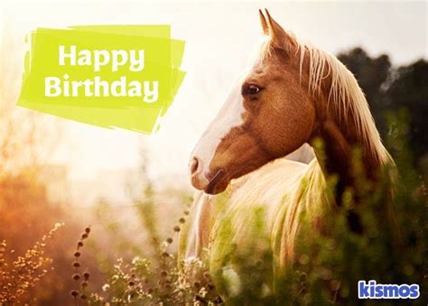 Happy Birthday Images With Horses Cool Happy Birthday Images Happy