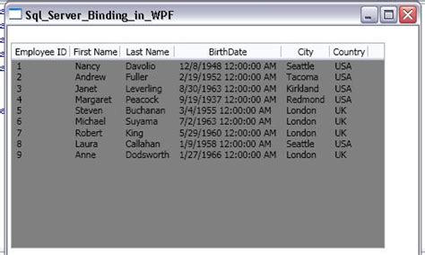 Data Binding In WPF ListView Dot Net Build