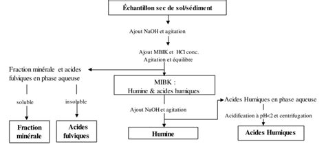 Sch Ma De L Extraction Au Mibk Chaque Phase Obtenue Sera Download Scientific Diagram