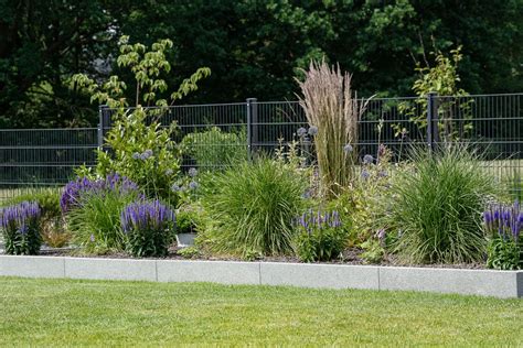 Das lampenputzergras ist eine wunderschöne frostharte mehrjährige pflanze, die in größeren gärten die traditionelle rasenfläche ersetzen kann. DIY | Garten bepflanzen, Garten und Garten landschaftsbau