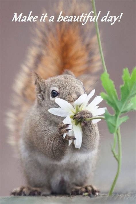 Pin By Betty Heigl On Good Morning Cute Animals Animals Beautiful