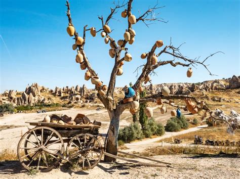 The Branches Of Tree Decorated With Evil Eye Amulets Goreme