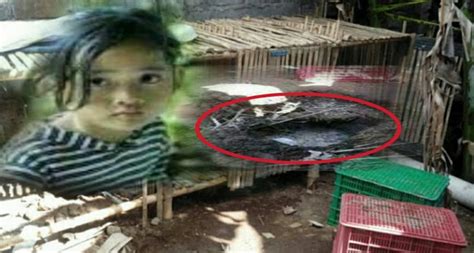 Budak 8 Tahun Diculik Serta Dibunuh Kejam Dan Tanam Dalam Reban Ayam