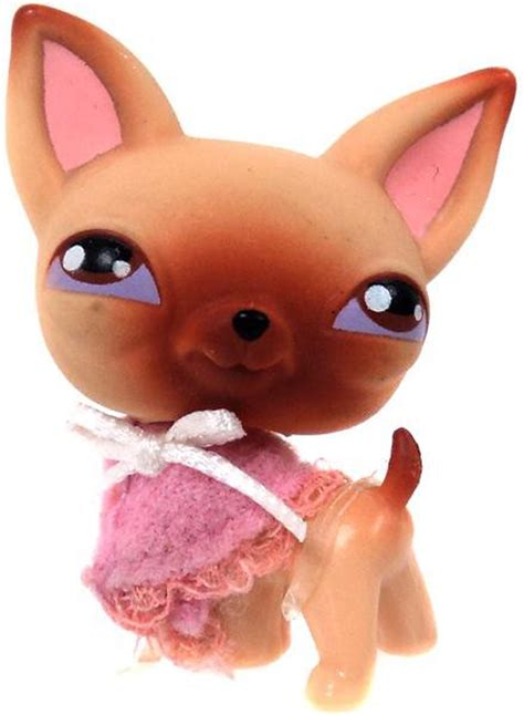 Littlest Pet Shop Chihuahua Figure Loose Hasbro Toys Toywiz
