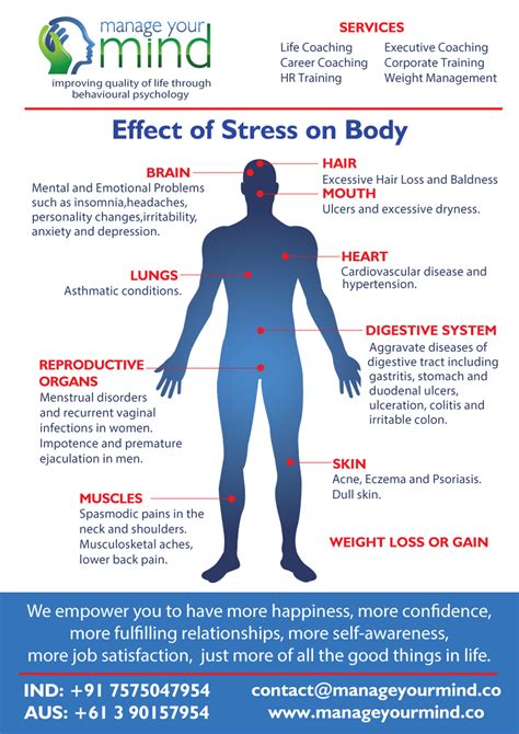 Effect Of Stress On Body Infographic Mym Private And Confidential Counselling For