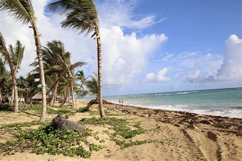 excellence breaks ground on new dominican republic all inclusive