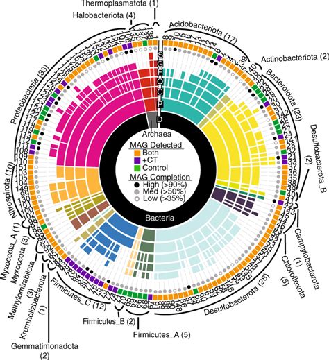 Taxonomy And Detection Of The 155 Dereplicated Metagenome Assembled