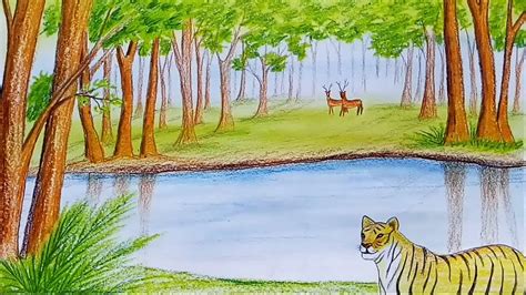 Realistic Drawing Drawing Of Wild Animals In Forest Rectangle Circle